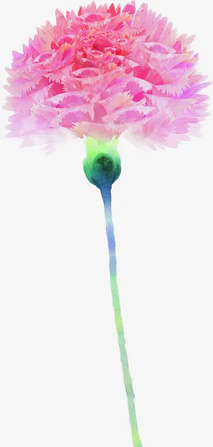 粉色手绘分层设计康乃馨花朵免抠