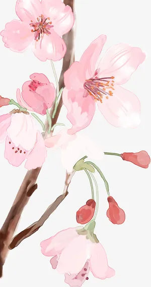 古风文艺粉色桃花免抠