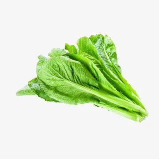 春菜青菜免抠绿色蔬菜免抠 春菜青菜免抠绿色蔬菜免抠