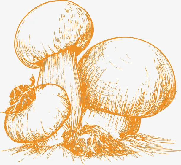 一堆蘑菇免抠