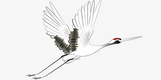 古风水墨中国风飞鹤装饰免抠