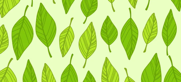 手绘绿叶背景高清