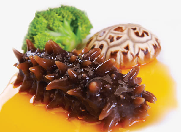 海参免抠