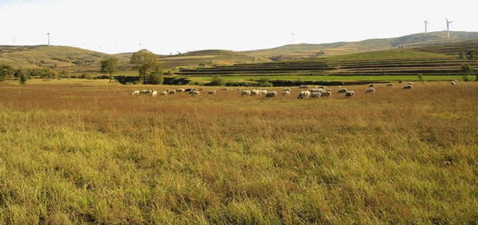 黄土高原右玉自然风景免抠