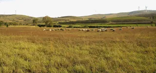 黄土高原右玉自然风景免抠