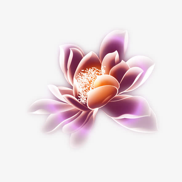 荧光意境花免抠