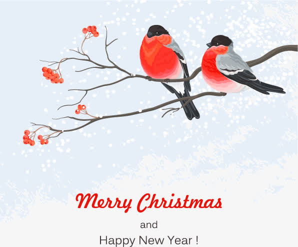 中国风花鸟装饰矢量图免抠