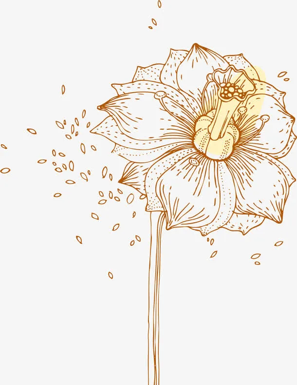 小清新黄色花朵免抠