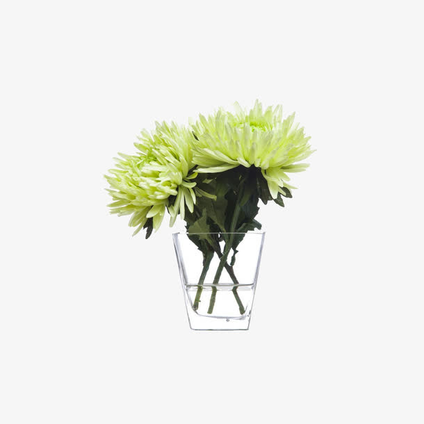 一束鲜花免抠