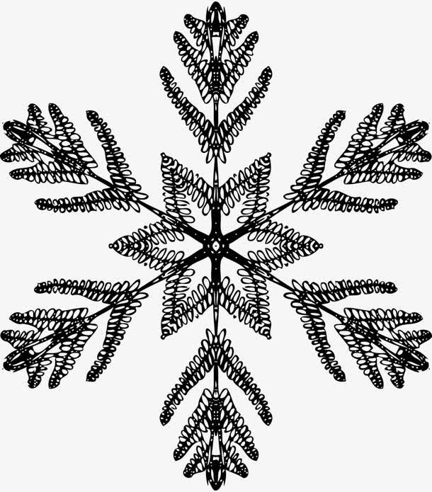 黑白六角雪花免抠