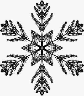 黑白六角雪花免抠