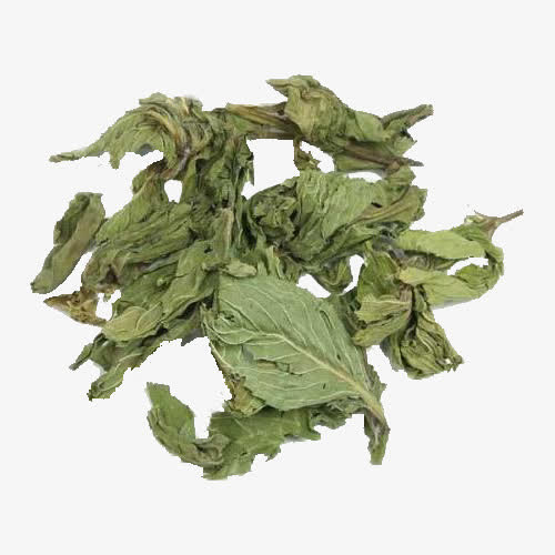 秋后桑叶免抠