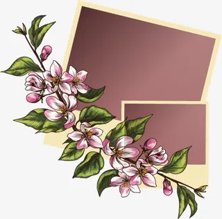 矢量花朵边框纹理免扣素材免抠