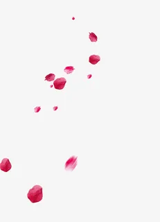 情人节玫瑰花瓣免抠装饰植物元素