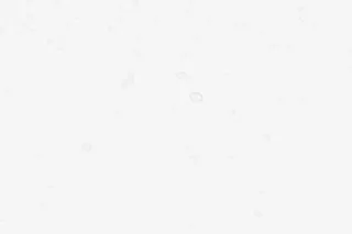 白色梦幻漂浮雪花免抠