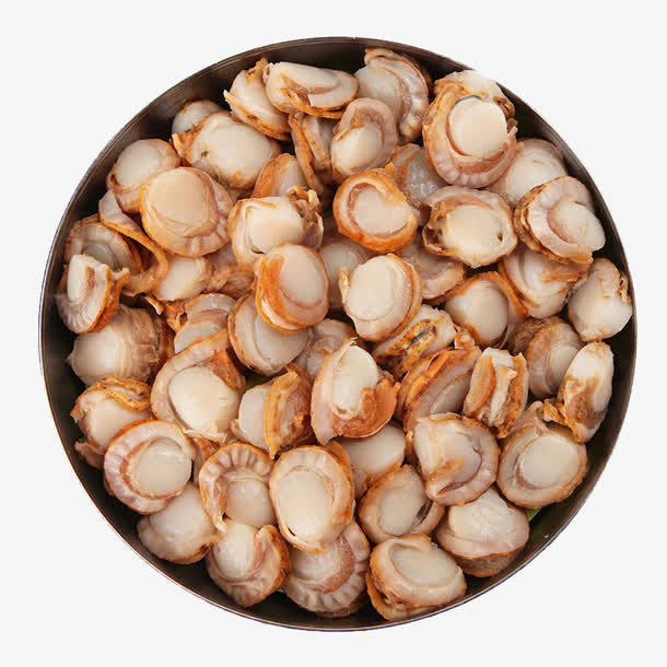 新鲜扇贝肉免抠