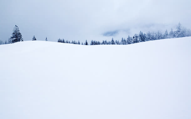 雪地室外场景森林免抠
