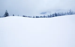 雪地室外场景森林免抠