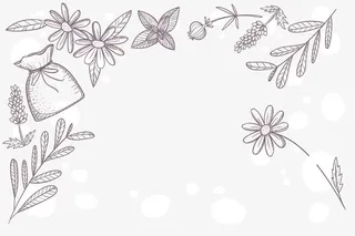 矢量手绘钱袋免抠