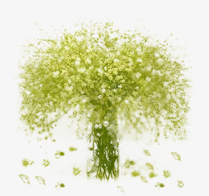 绿色的满天星免抠