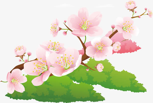 春分花朵美丽春天多彩自然矢量素免抠手绘/卡通卡通元素