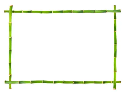 绿色竹子边框免抠