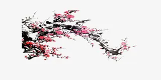 中国风梅花水墨画素材免抠