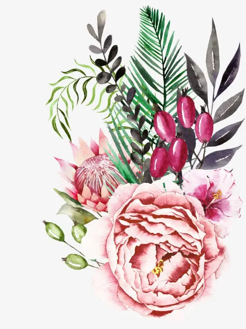 粉色的玫瑰花免抠