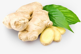 实物调味有机生姜免抠