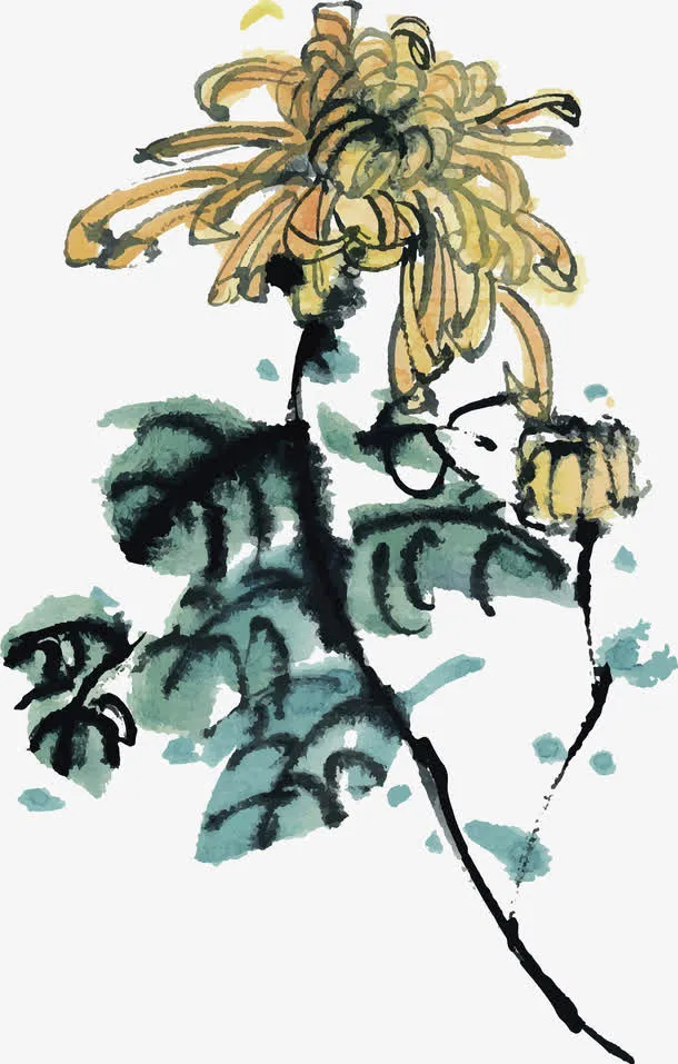 手绘水墨菊花免抠