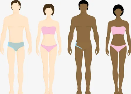 矢量图医疗模型免抠