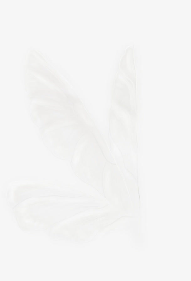 翅膀素材羽毛素描图片免抠