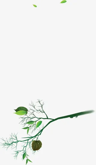 树叶漂浮免抠