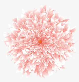 粉色，牡丹花，免抠