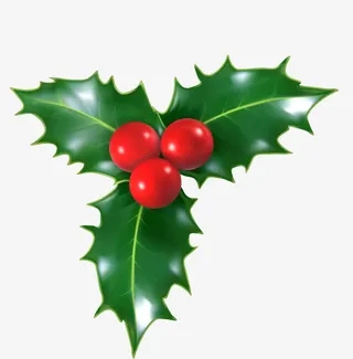 圣诞节冬青植物免抠