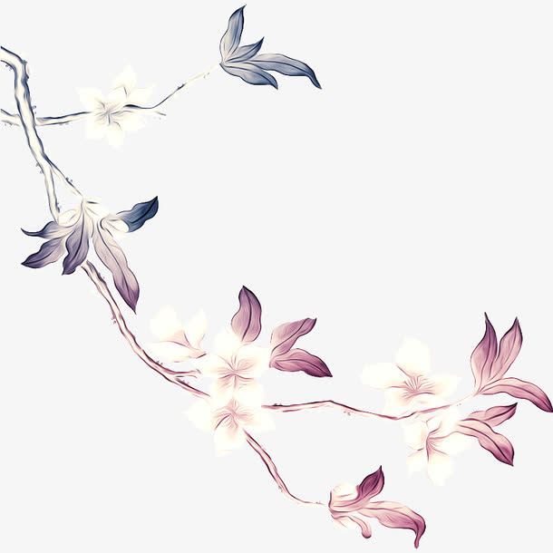 兰花免抠