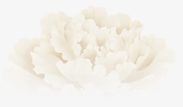 白色牡丹花免抠