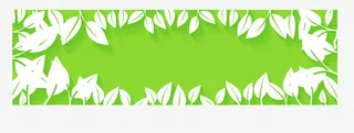 树叶 叶子边框 树叶边框 绿叶免抠