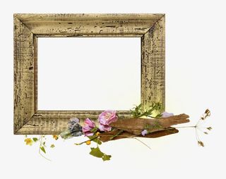 花框 花边 底纹边框免抠