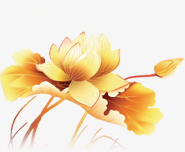 中秋节黄色莲花海报免抠
