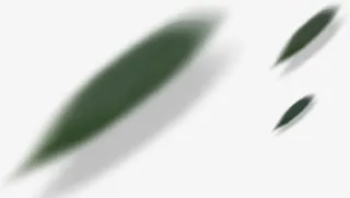 绿叶运动轨迹漂浮免抠