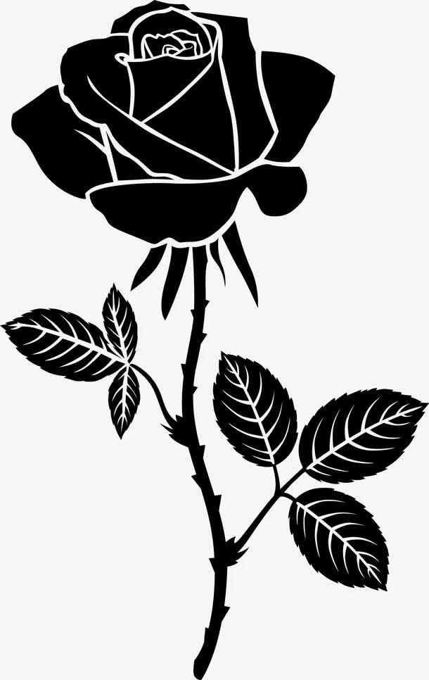 手绘带刺的玫瑰花免抠