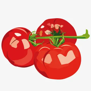 红色番茄免抠