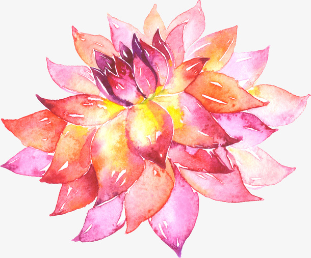 水彩花卉素材免抠
