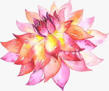 水彩花卉素材免抠