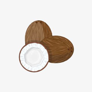 手绘棕色椰子免抠