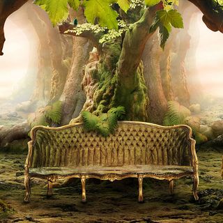 大气森林里沙发主图背景素材高清