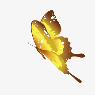 渐变黄色蝴蝶免抠