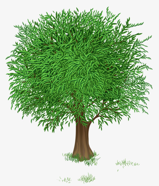 植物树叶和树散开免抠