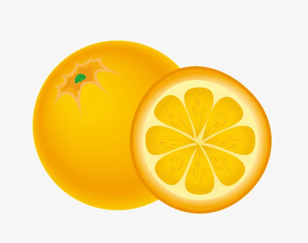 手绘切开的橙子免抠